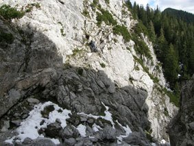 protected path